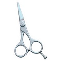 Barber Scissors